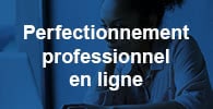 Perfectionnement professionnel en ligne